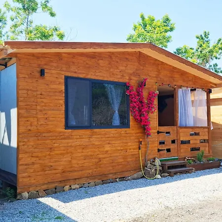 еко къщи градина